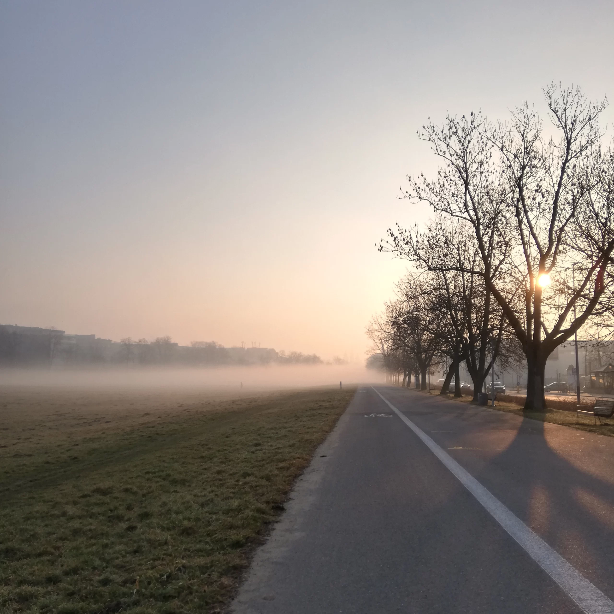 jak smog wpływa na skórę