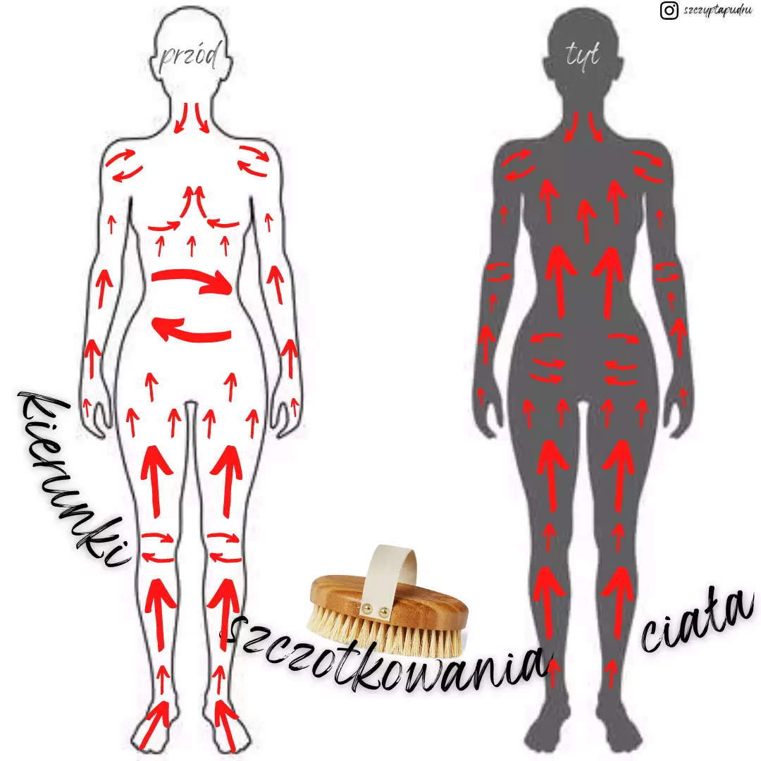 kierunki szczotkowania ciałą