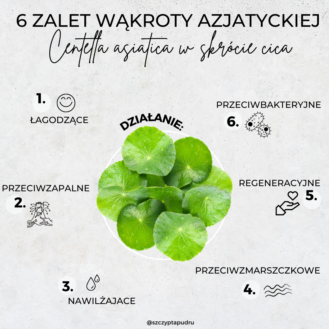 wąkrota-azjatycja-działanie-i-najciekawsze-kosmetyki-3